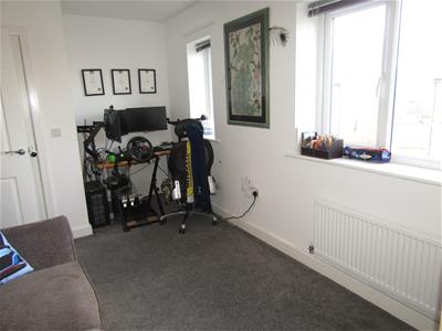 Picture 13